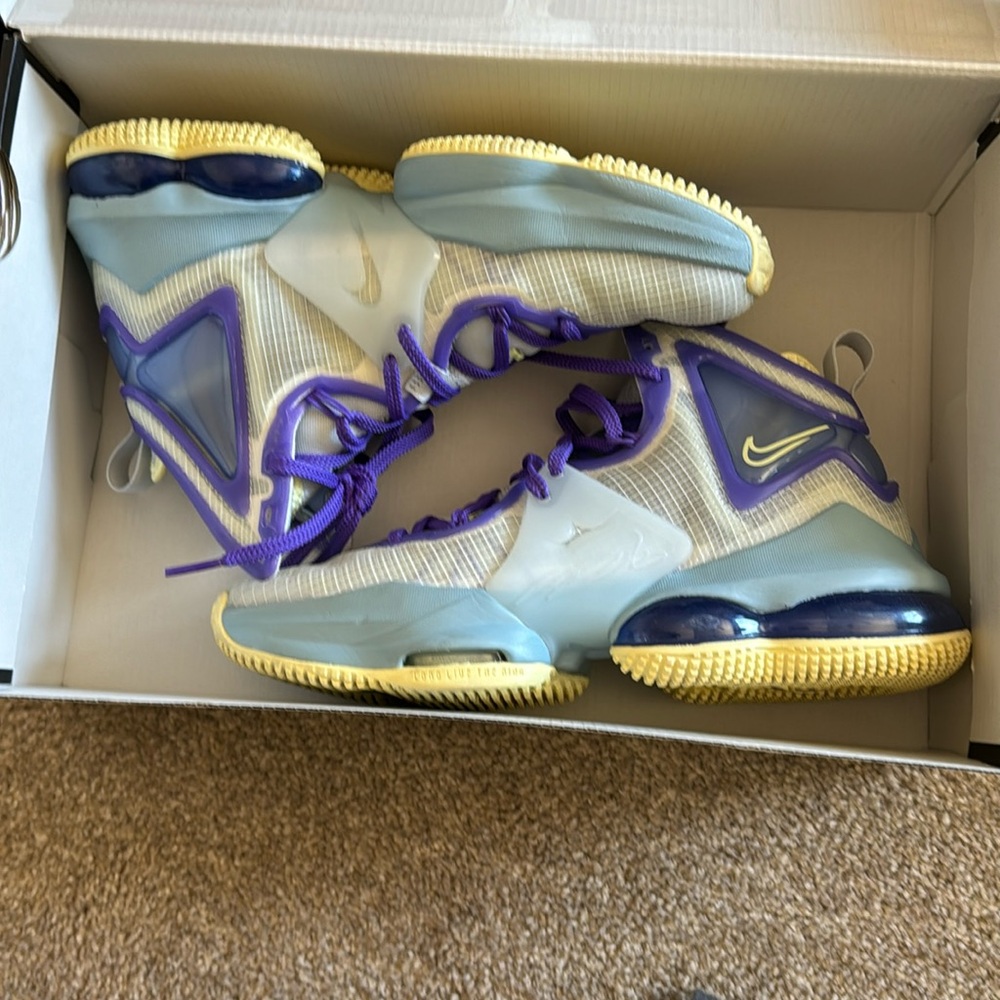 Lebron XIX (GS)
